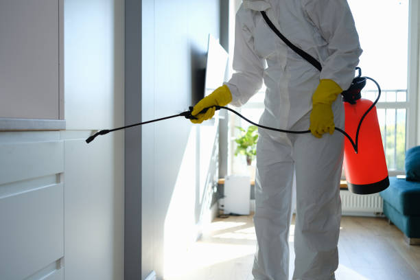 Best Mold Removal Near Me  in Scott City, KS